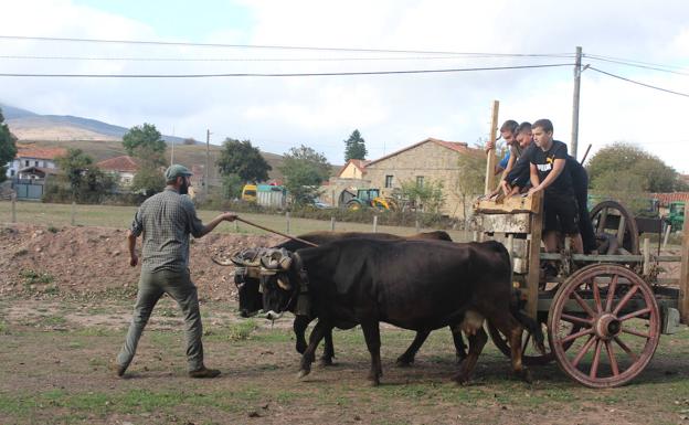 Imagen. El entrenamiento se lleva a cabo durante dos horas diarias. 