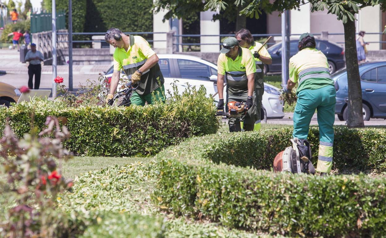 Trabajos de mantenimiento de Parques y Jardines en la zona de El Alisal.