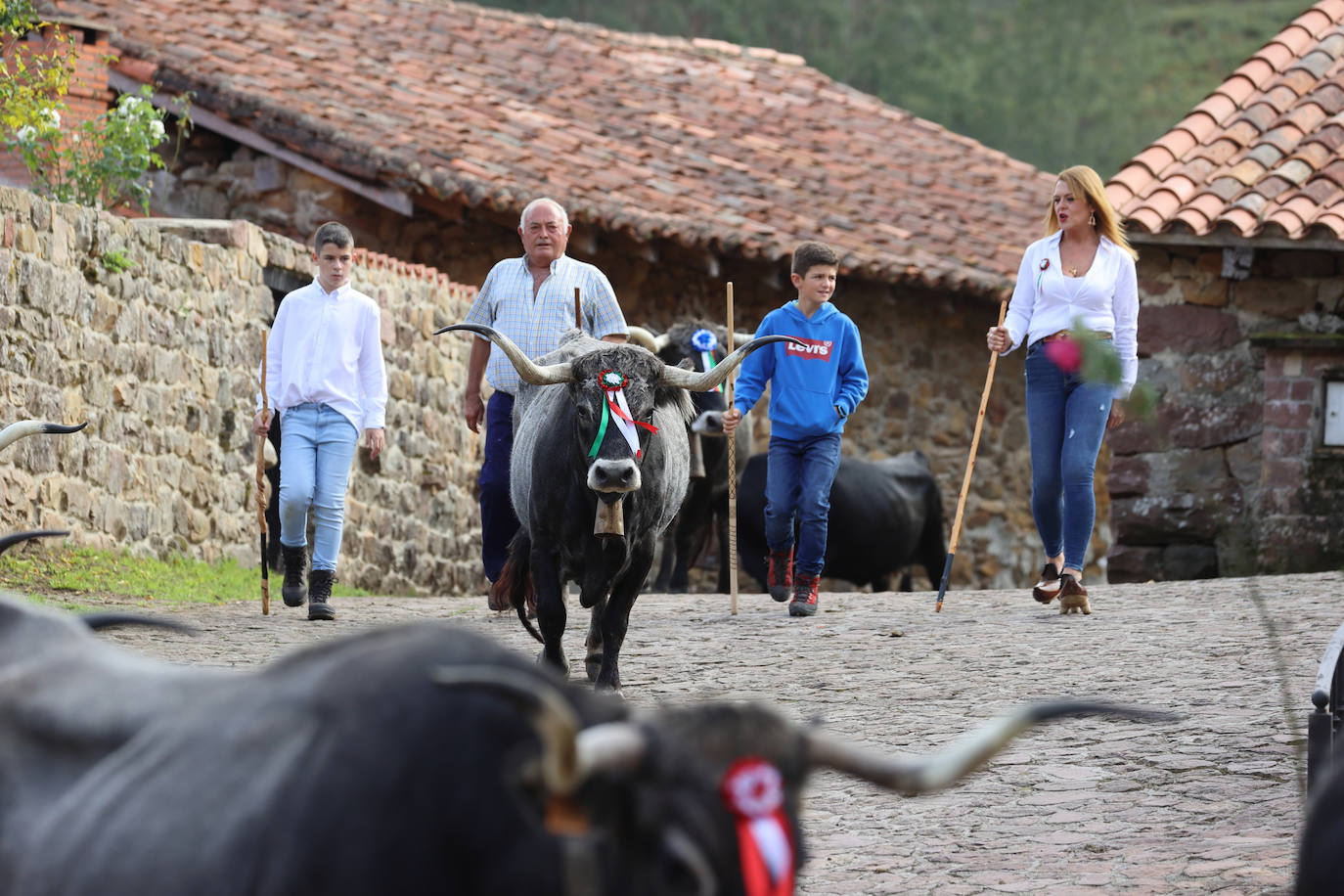 Fotos: La pasá de Carmona