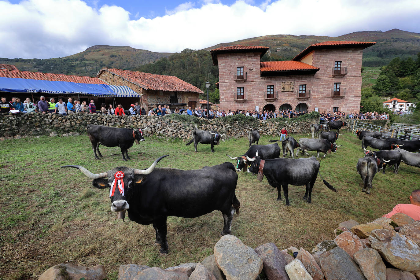 Fotos: La pasá de Carmona