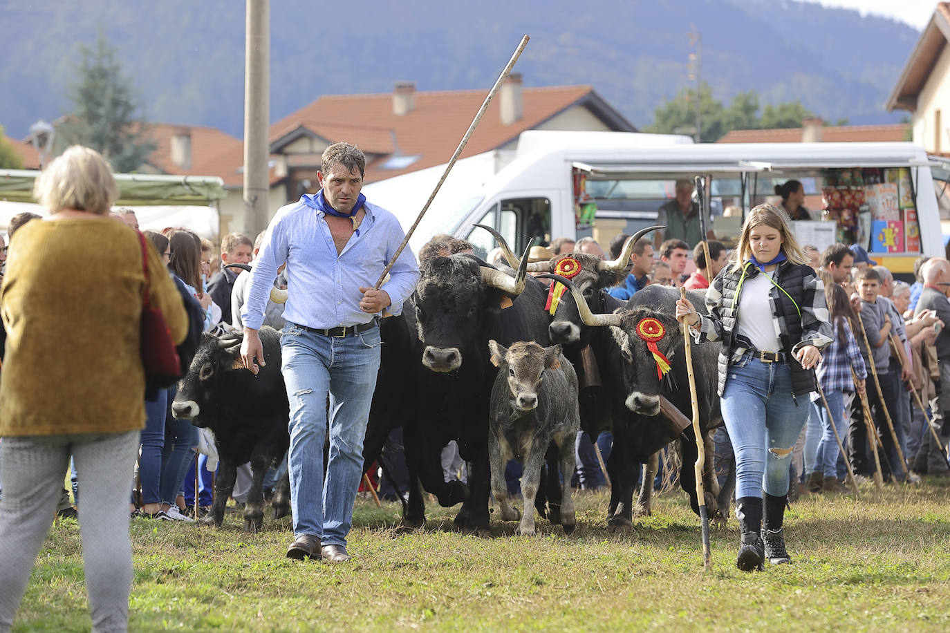 Fotos: Las tudancas se lucen en Cabezón de la Sal