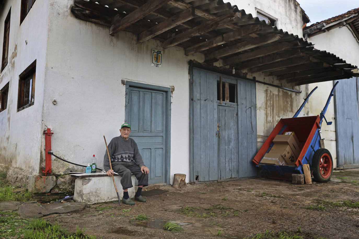 Fotos: Las tudancas se lucen en Cabezón de la Sal