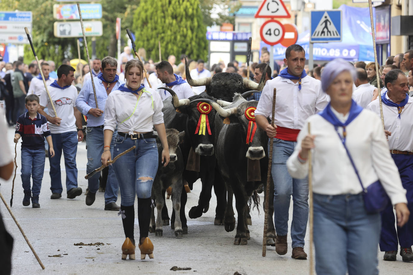 Fotos: Las tudancas se lucen en Cabezón de la Sal