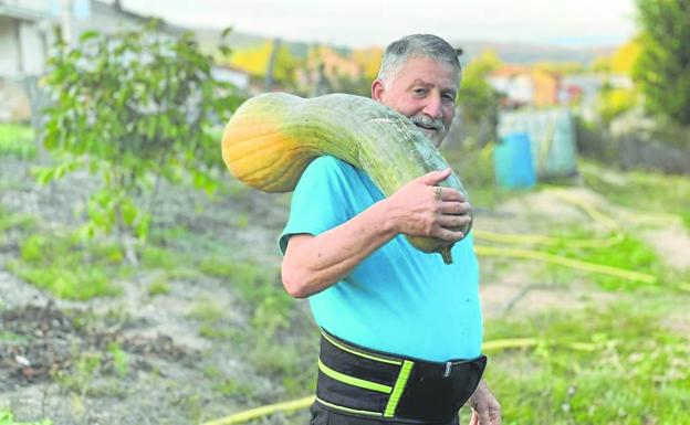 Miguel posa con una de las calabazas que ha recolectado en su huerta. 