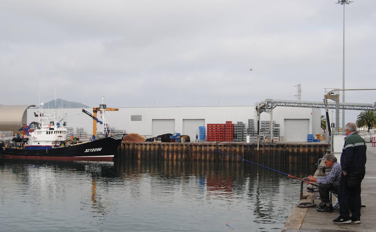 Los paneles solares se han instalado en la parte de la cubierta de la nave que opera como almacén y lavado de cajas.