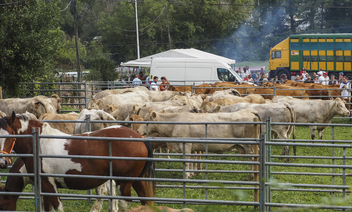 Fotos: La feria de San Lucas en Hoznayo, en imágenes