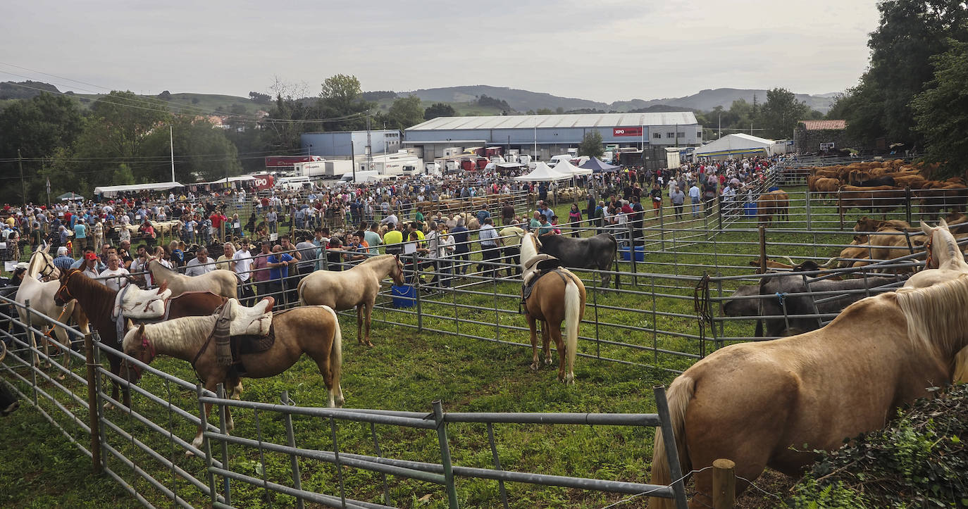 Fotos: La feria de San Lucas en Hoznayo, en imágenes