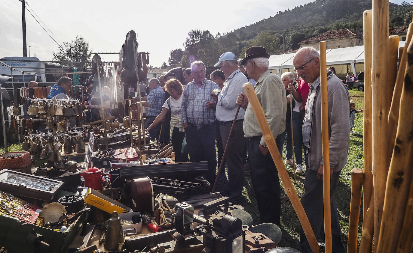 Fotos: La feria de San Lucas en Hoznayo, en imágenes