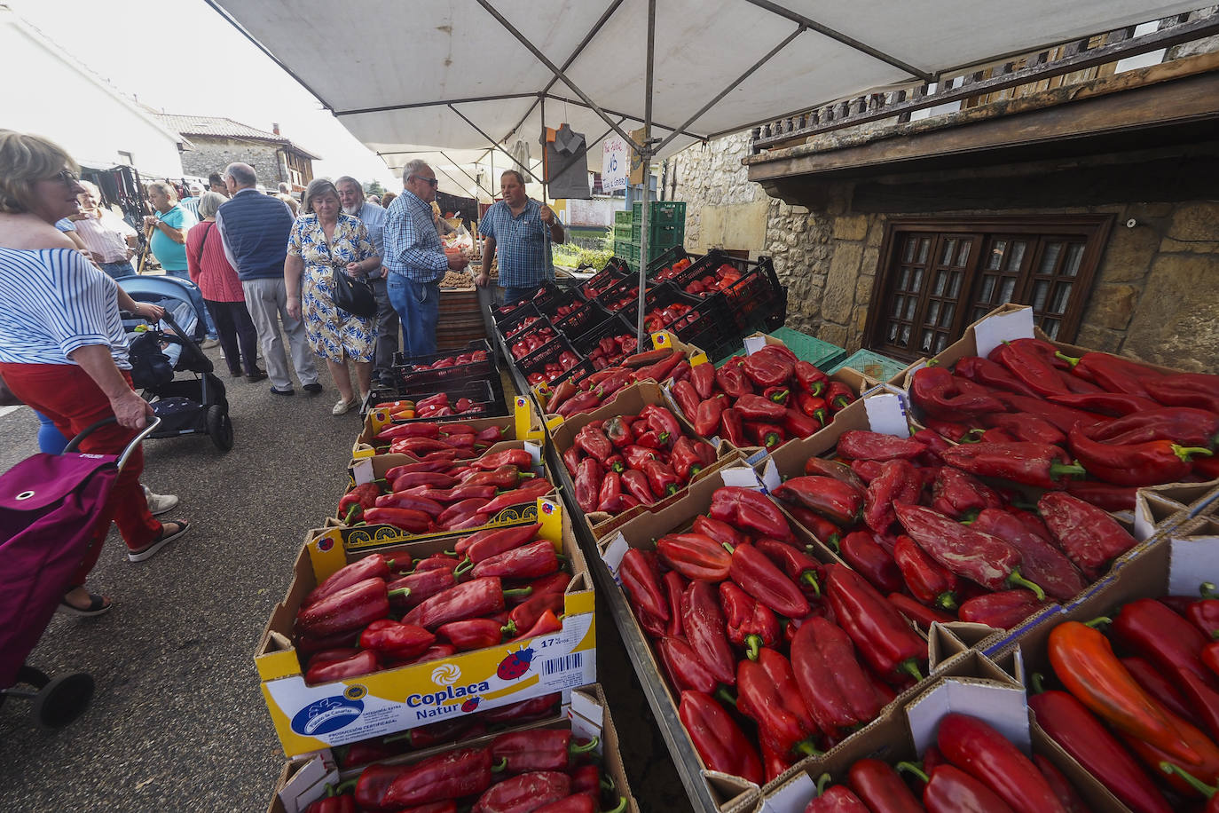 Fotos: La feria de San Lucas en Hoznayo, en imágenes