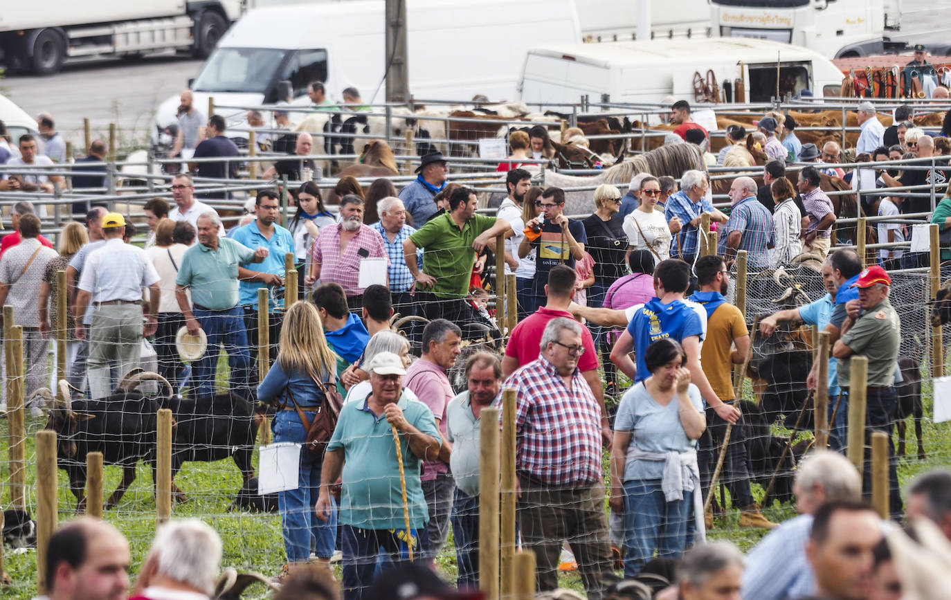 Fotos: La feria de San Lucas en Hoznayo, en imágenes