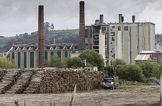 Los concursales de Sniace rectifican y analizan si venden a Ence el área forestal