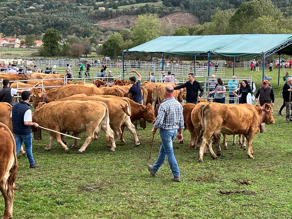 Fotos: Multitudinaria feria ganadera en Cabuérniga