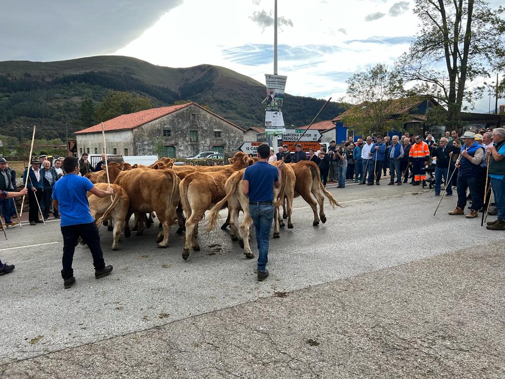 Fotos: Multitudinaria feria ganadera en Cabuérniga