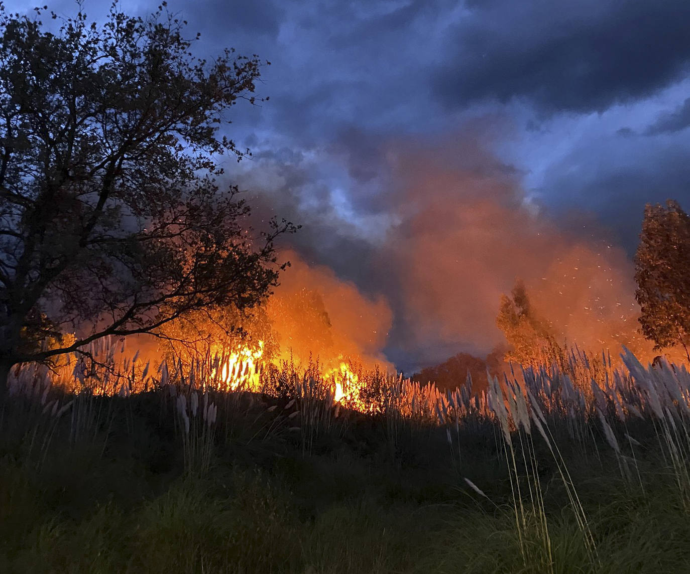 Fotos: Imágenes del incendio en Loredo