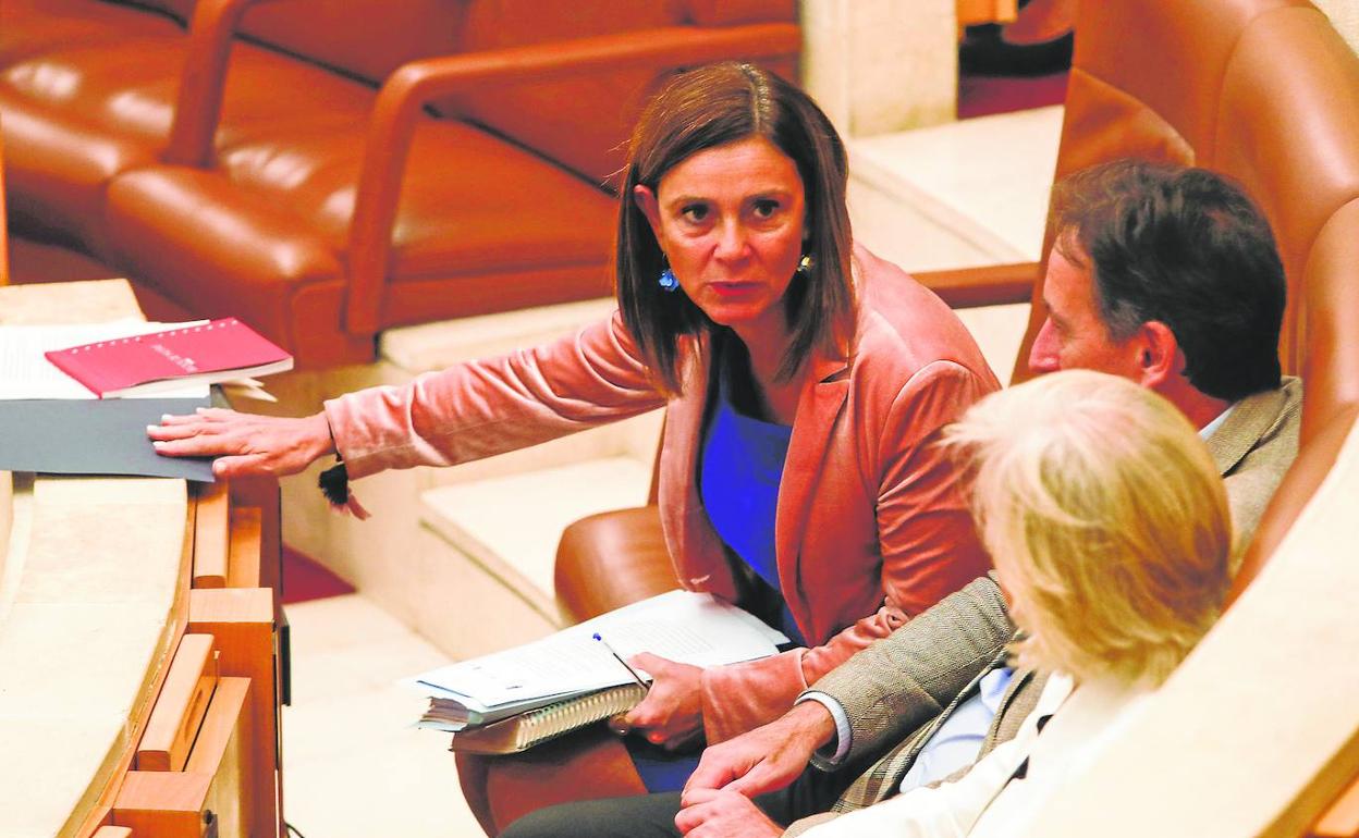 Los diputados regionalistas Paula González Viaña, José Luis Gochicoa y Rosa Díaz intercambian impresiones antes del inicio del pleno