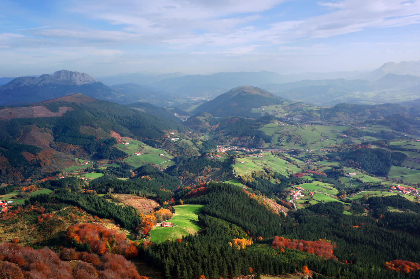 Bosques de Aramaio.