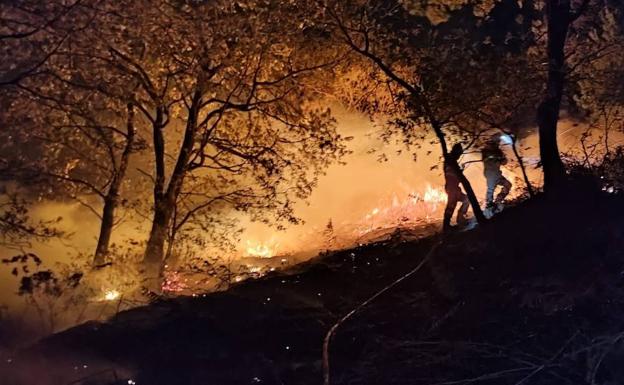 Imagen. Imágenes de los incendios de este jueves.