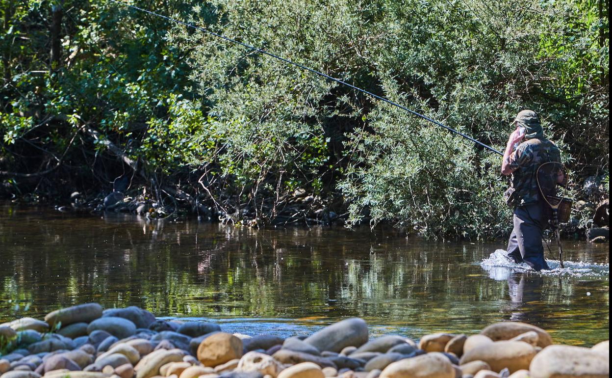 Pesca de trucha en Puente Viesgo