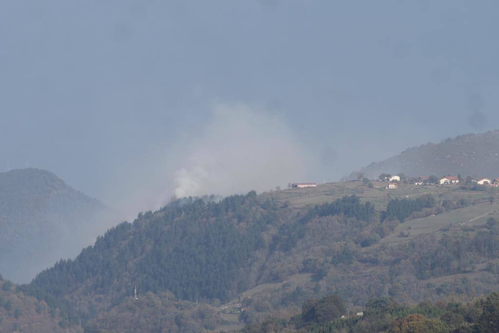 Bostronizo, en Arenas de Iguña / SANE