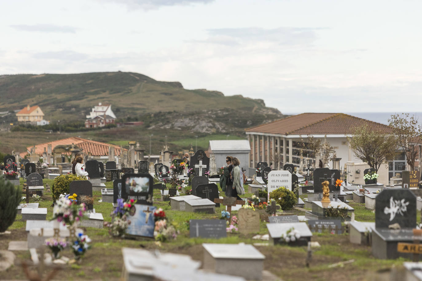 Fotos: Ciriego se llena de flores