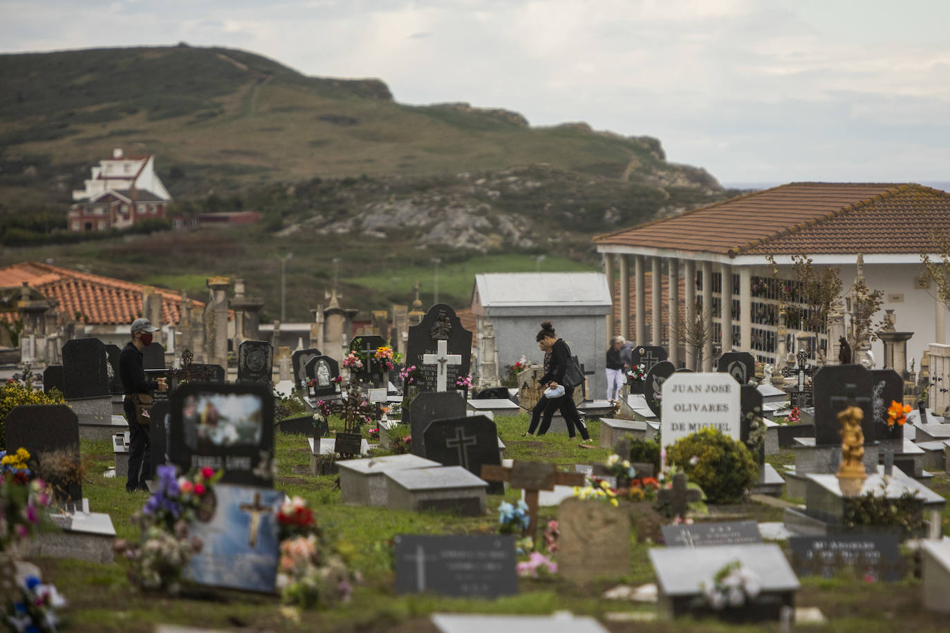 Fotos: Ciriego se llena de flores