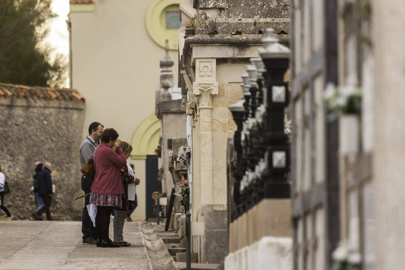 Fotos: Ciriego se llena de flores