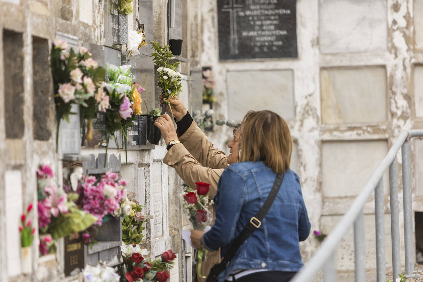 Fotos: Ciriego se llena de flores