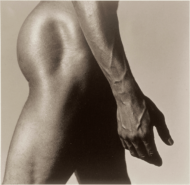 Robert Mapplethorpe, Alistair Butler, 1980. Plata en gelatina, 35,7 x 35,2 cm. 