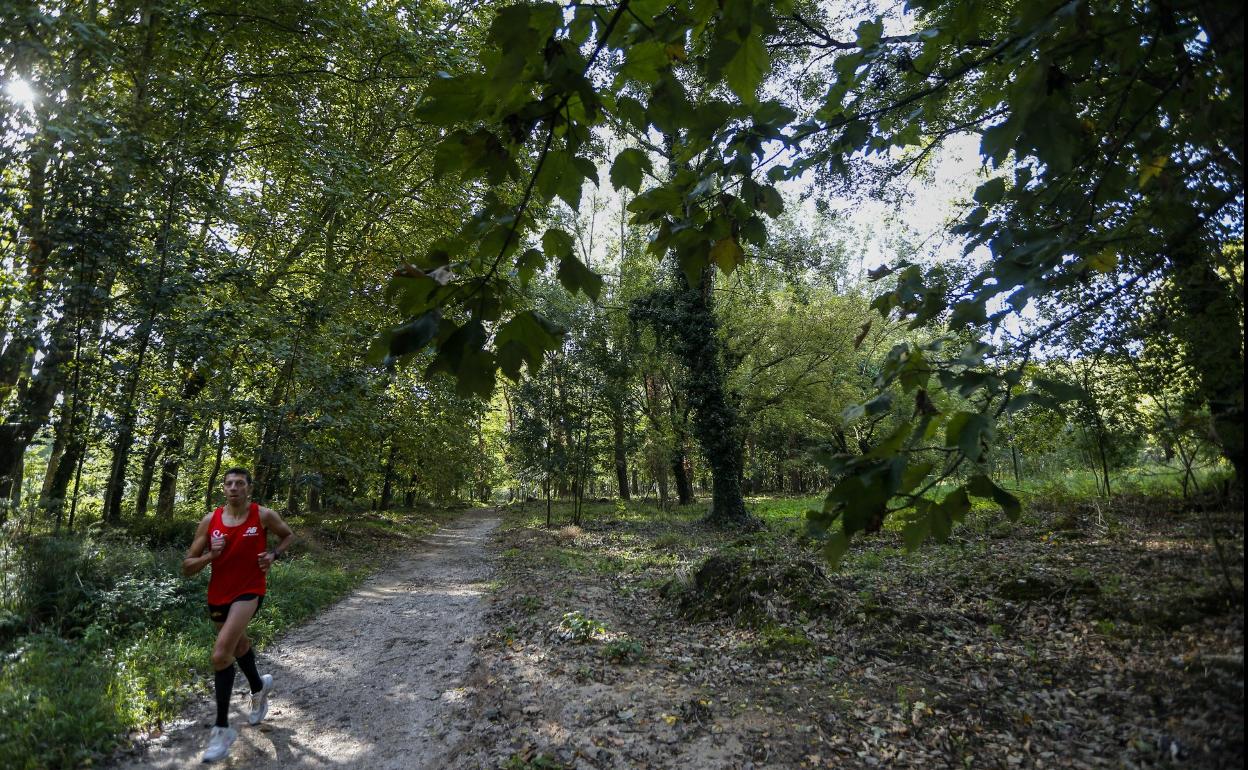 Un vecino hace deporte en una de las sendas del parque de Las Tablas, este otoño, en Torrelavega. 