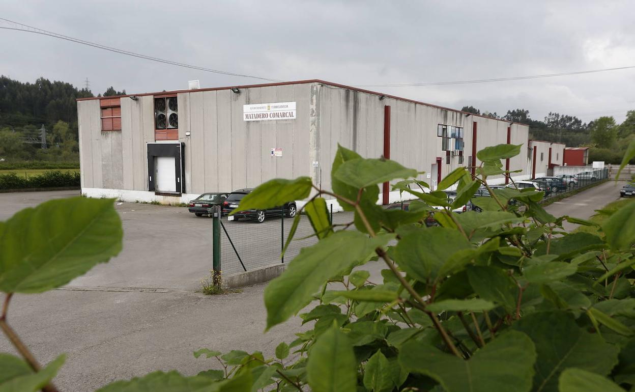 El Ayuntamiento de Torrelavega desmiente el «colapso» del matadero comarcal