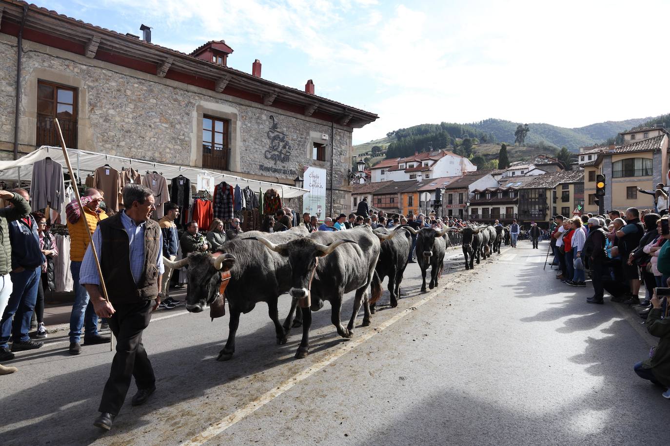 Fotos: La Feria de los Santos de Potes, en imágenes