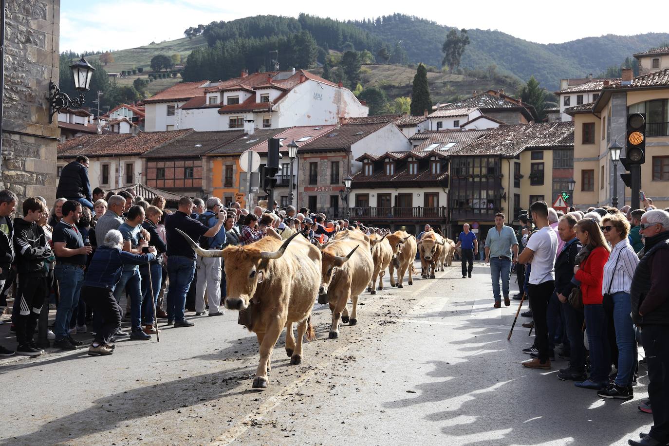 Fotos: La Feria de los Santos de Potes, en imágenes