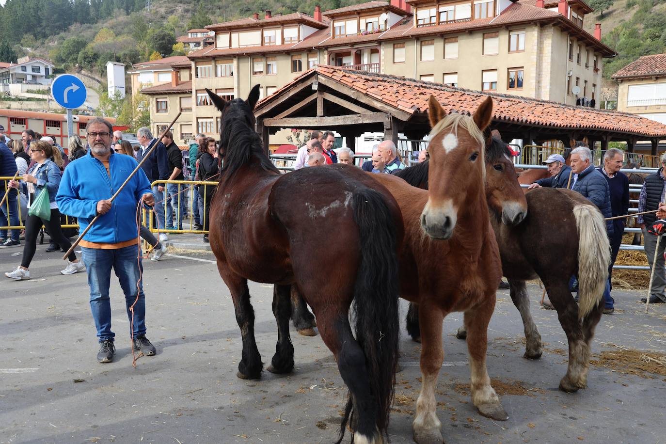 Fotos: La Feria de los Santos de Potes, en imágenes