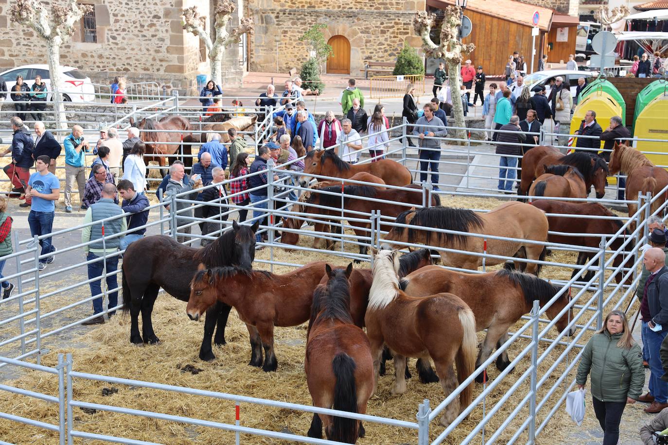 Imagen principal - 500 cabezas de ganado desfilan en la Feria de los Santos en Potes