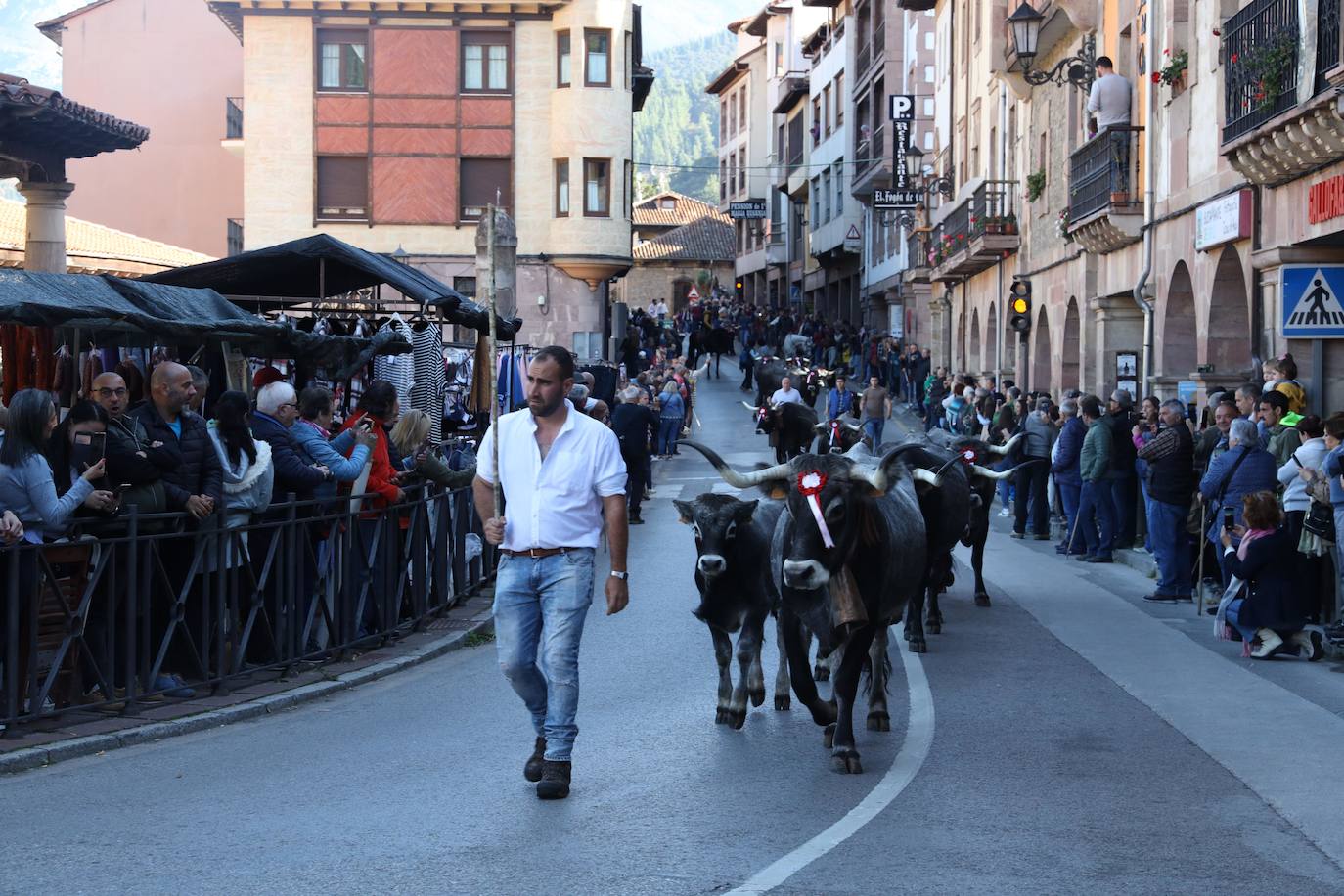 Fotos: La Feria de los Santos de Potes, en imágenes