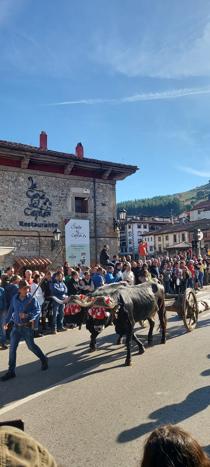 Fotos: La Feria de los Santos de Potes, en imágenes