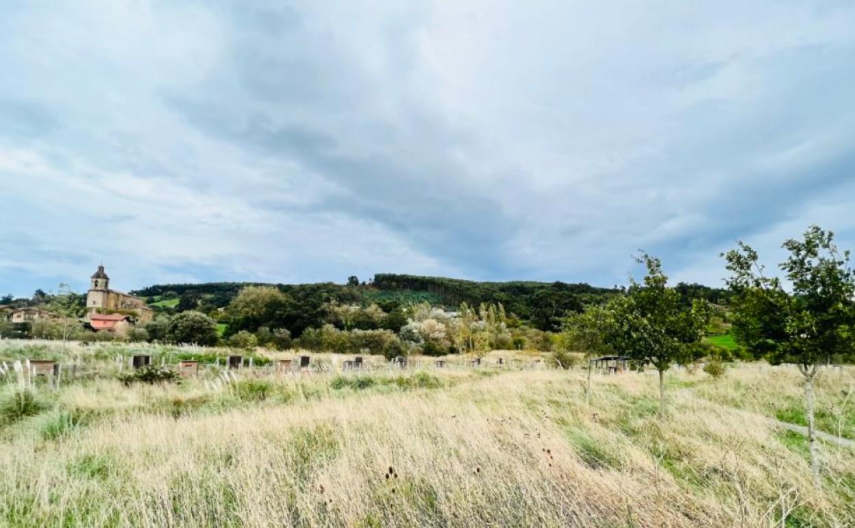 Colindres urge a la Consejería de Medio Ambiente la cesión de los terrenos del Parque del Tintero