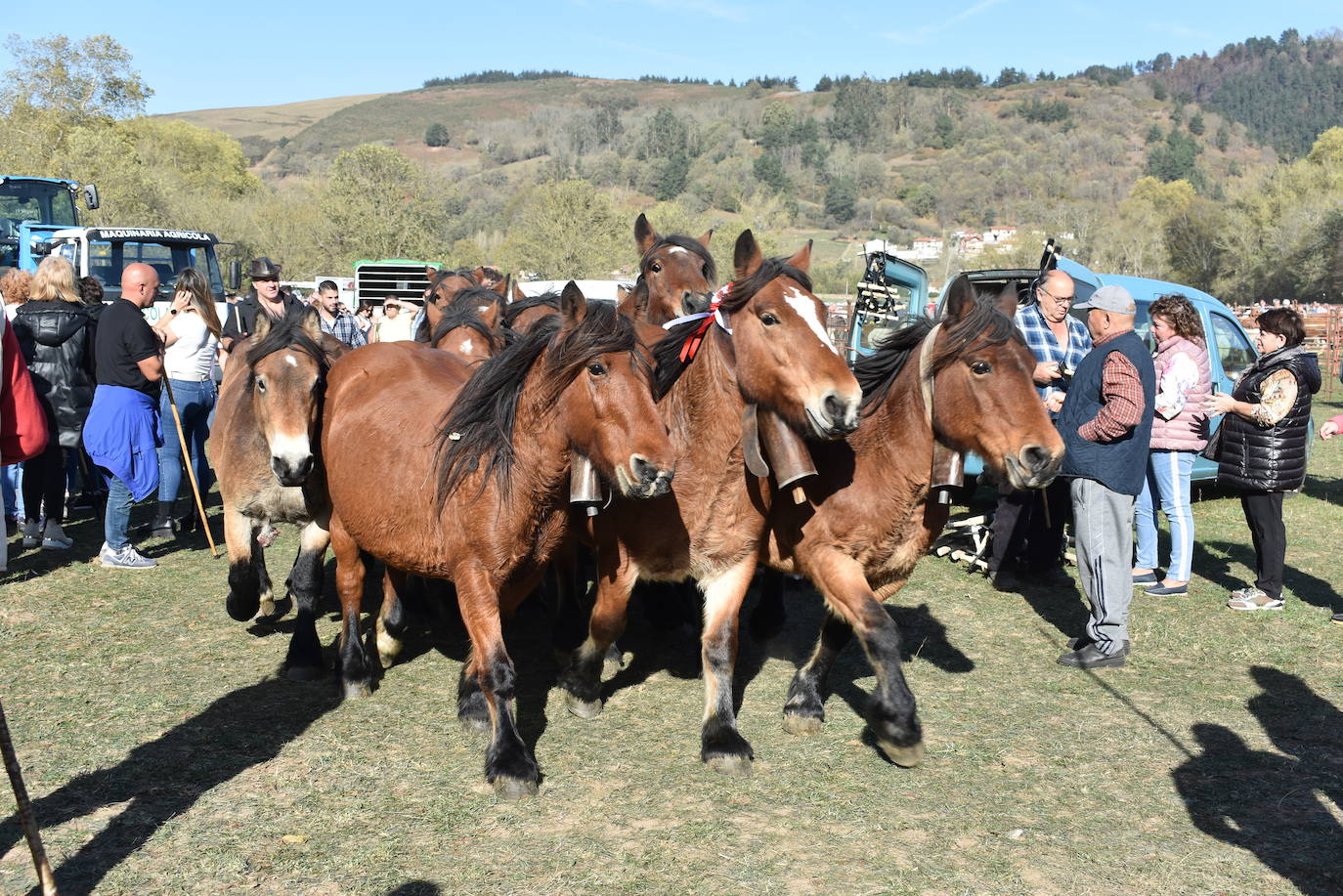 Fotos: La feria de Arenas de Iguña, en imágenes