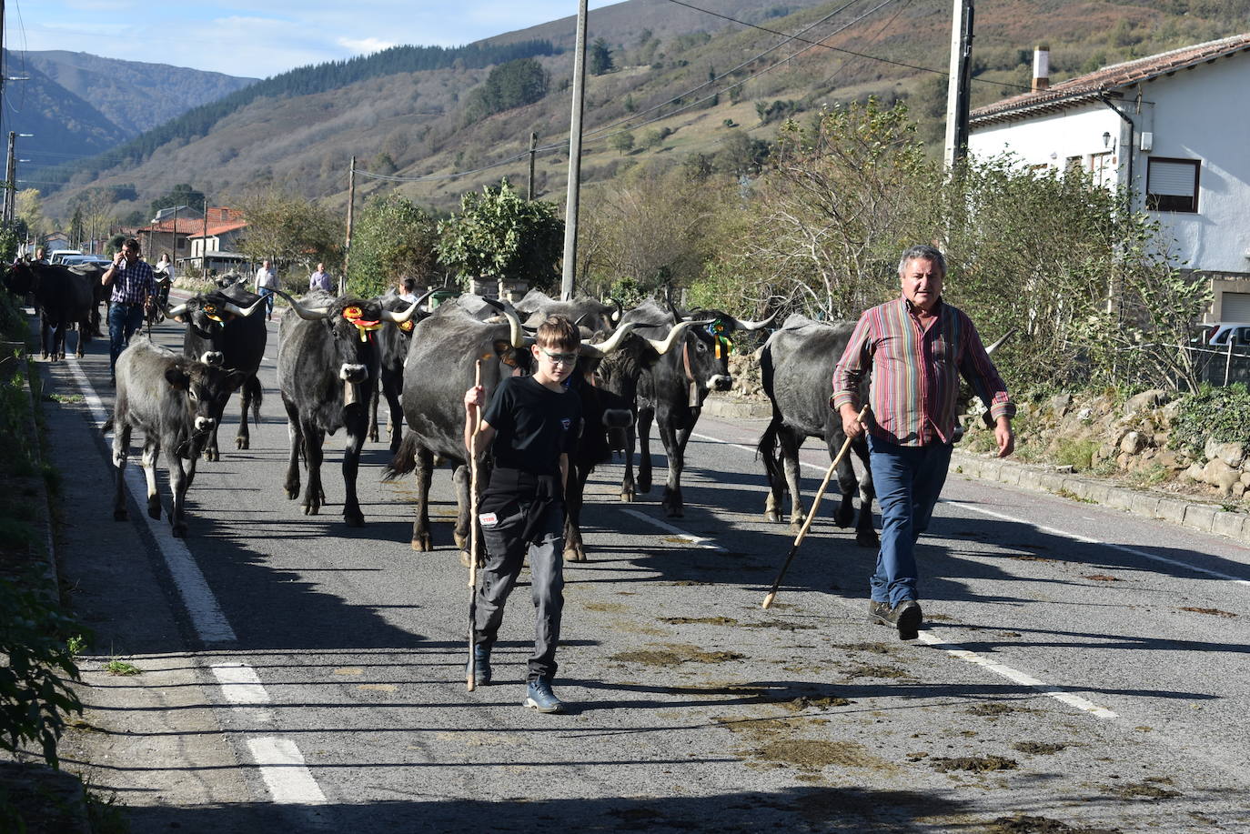 Fotos: La feria de Arenas de Iguña, en imágenes