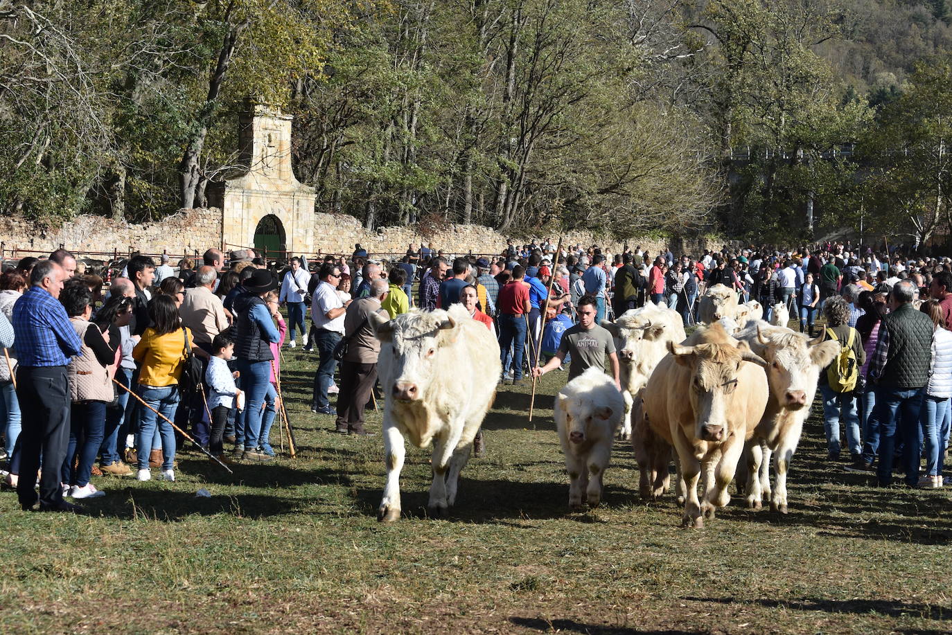 Fotos: La feria de Arenas de Iguña, en imágenes