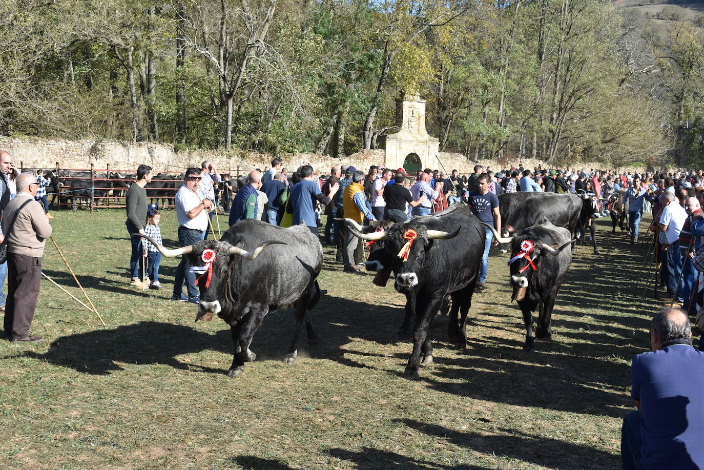 Fotos: La feria de Arenas de Iguña, en imágenes