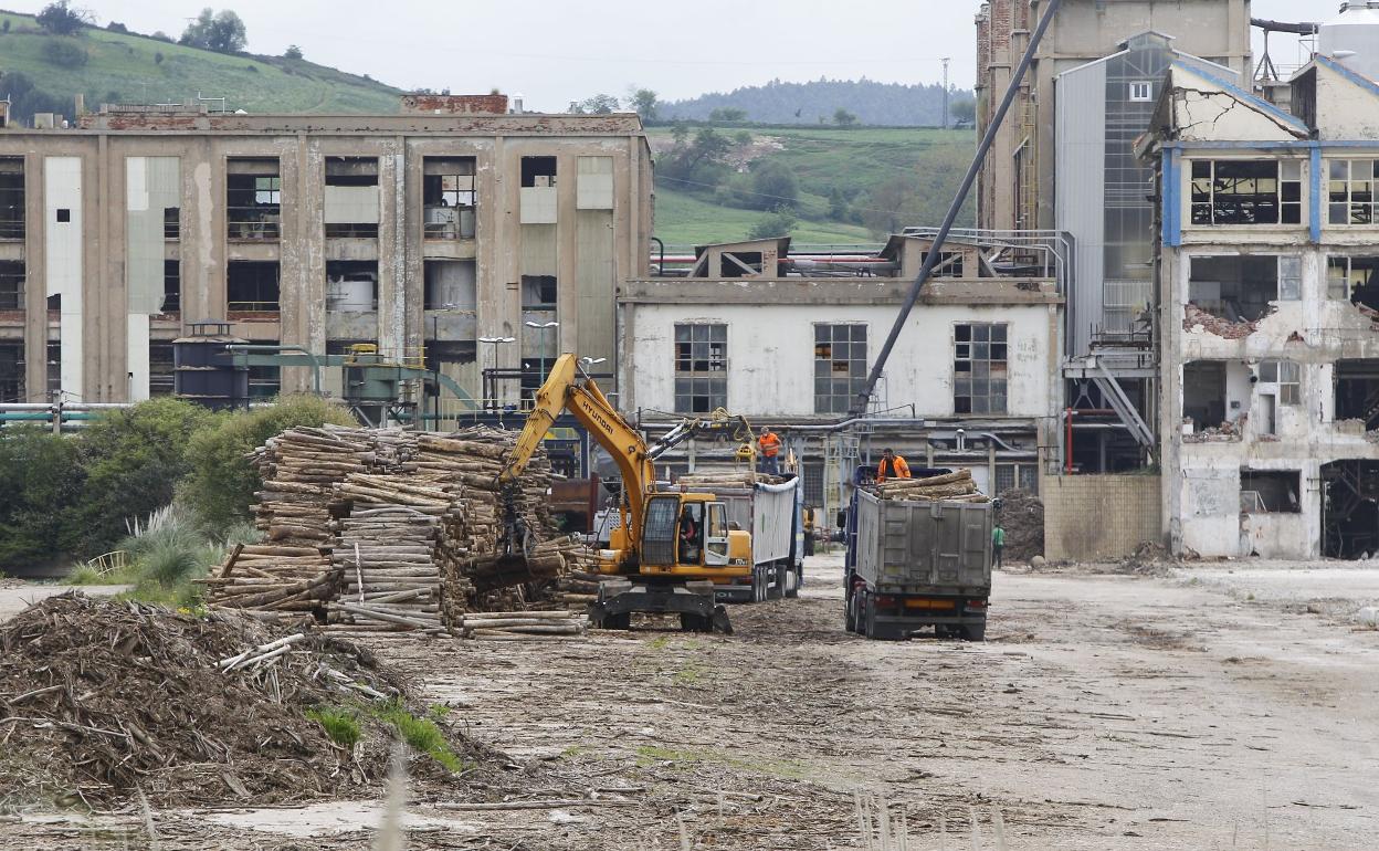 Movimiento de esteros de madera en Sniace, meses después de parar la actividad en 2020. 