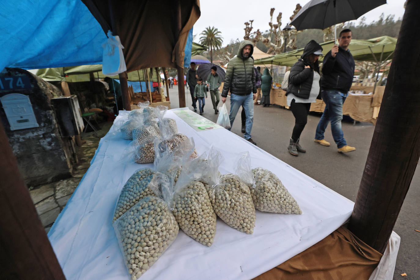 La Feria de la Alubia y la Hortaliza se celebra a lo largo de este fin de semana en Casar de Periedo, con la participación de 197 puestos de venta de diferentes productos agroalimentarios y artesanos, tanto de Cantabria como de otras comunidades autónomas. Además, ha tenido lugar el nombramiento y entrega de distinción de 'Alubiero Mayor 2022 en el recinto exterior de la Casa Museo Jesús de Monasterio, a Quico Taronji, presentador del programa de TVE 'Aquí la Tierra'.