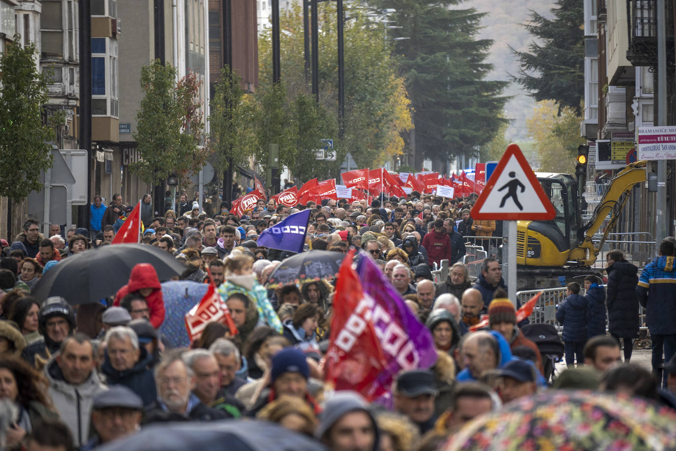 Fotos: Multitudinaria manifestación en Reinosa, este sábado