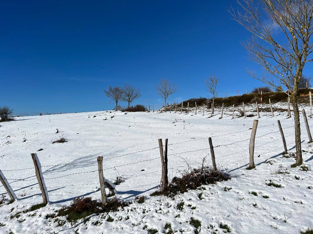 Fotos: Imágenes de nieve en el Sur de Cantabria: Valderredible y Valdeolea