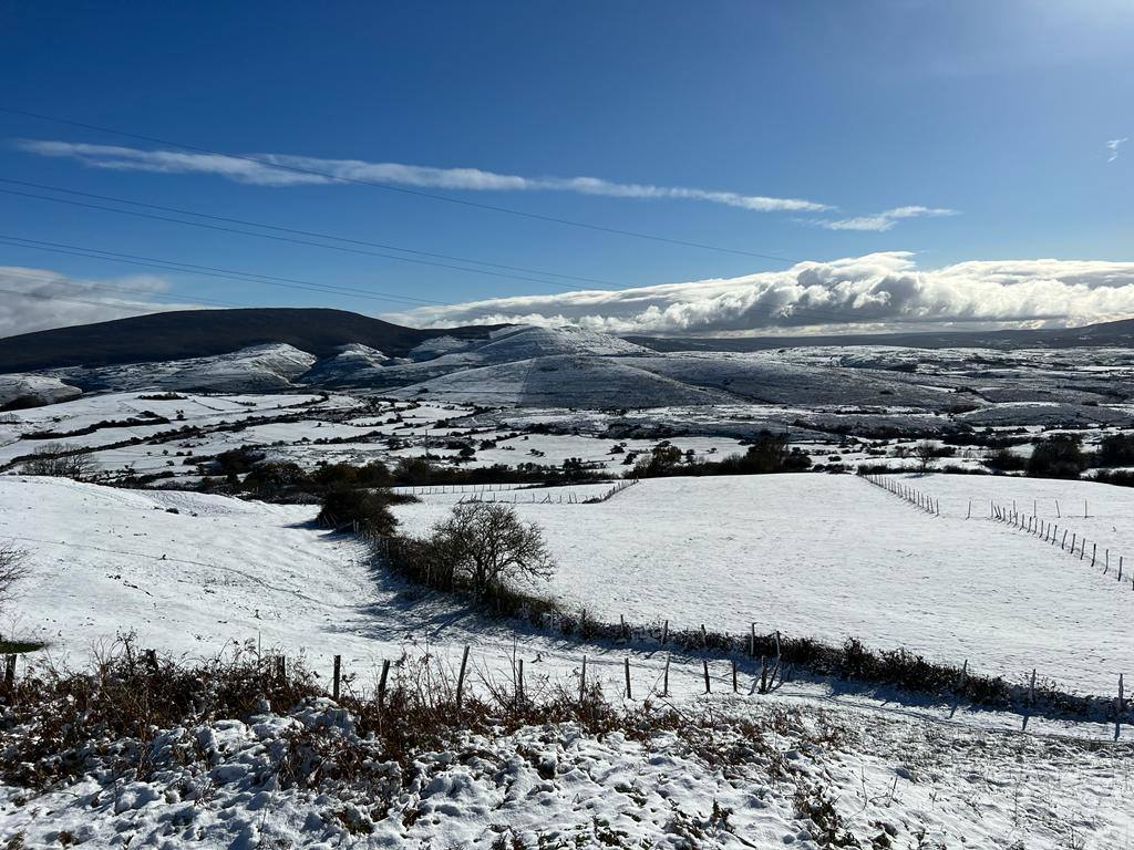 Fotos: Imágenes de nieve en el Sur de Cantabria: Valderredible y Valdeolea