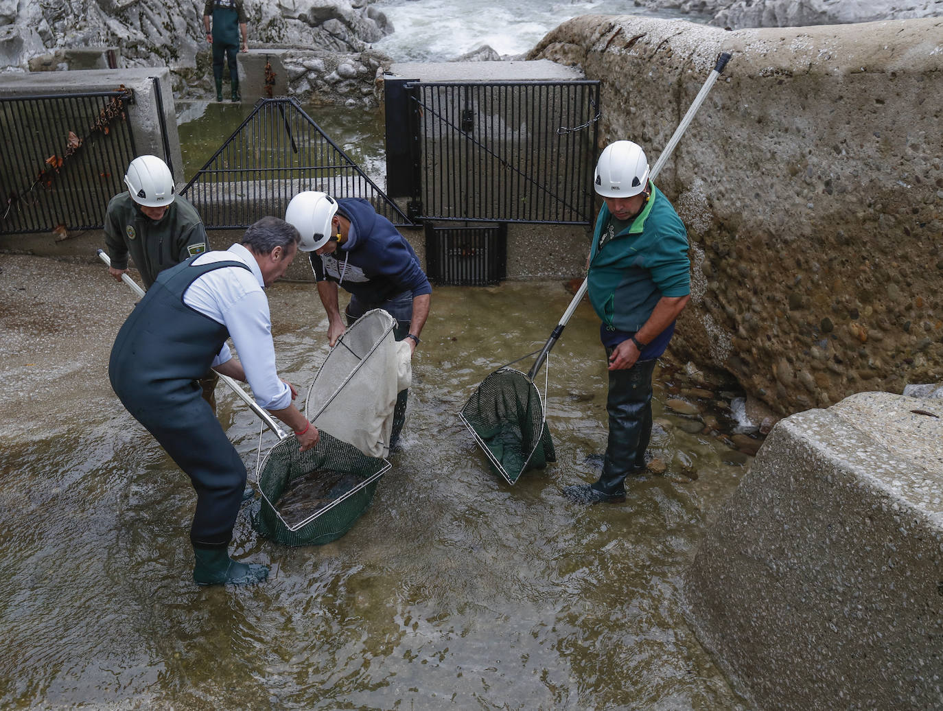 Imagen. Agentes y el consejero cogen a los salmones con los redeños