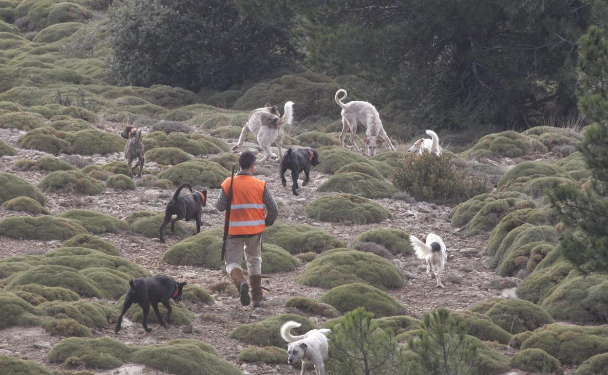 Una partida de caza en los montes oscenses de Loarre. 