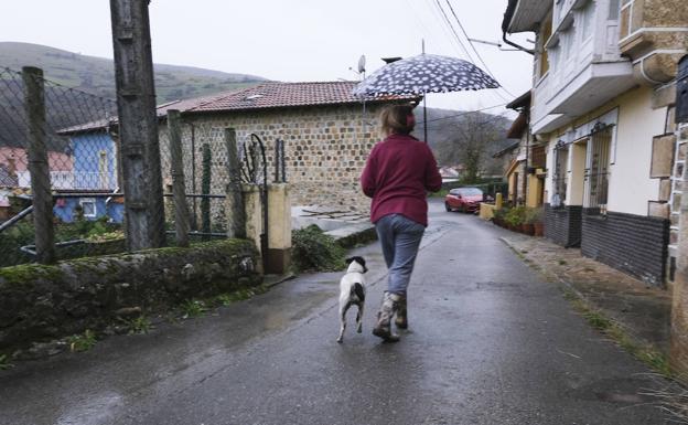 La mujer ingresada por el ataque del animal tiene varias fracturas y el tendón de un brazo desgarrado