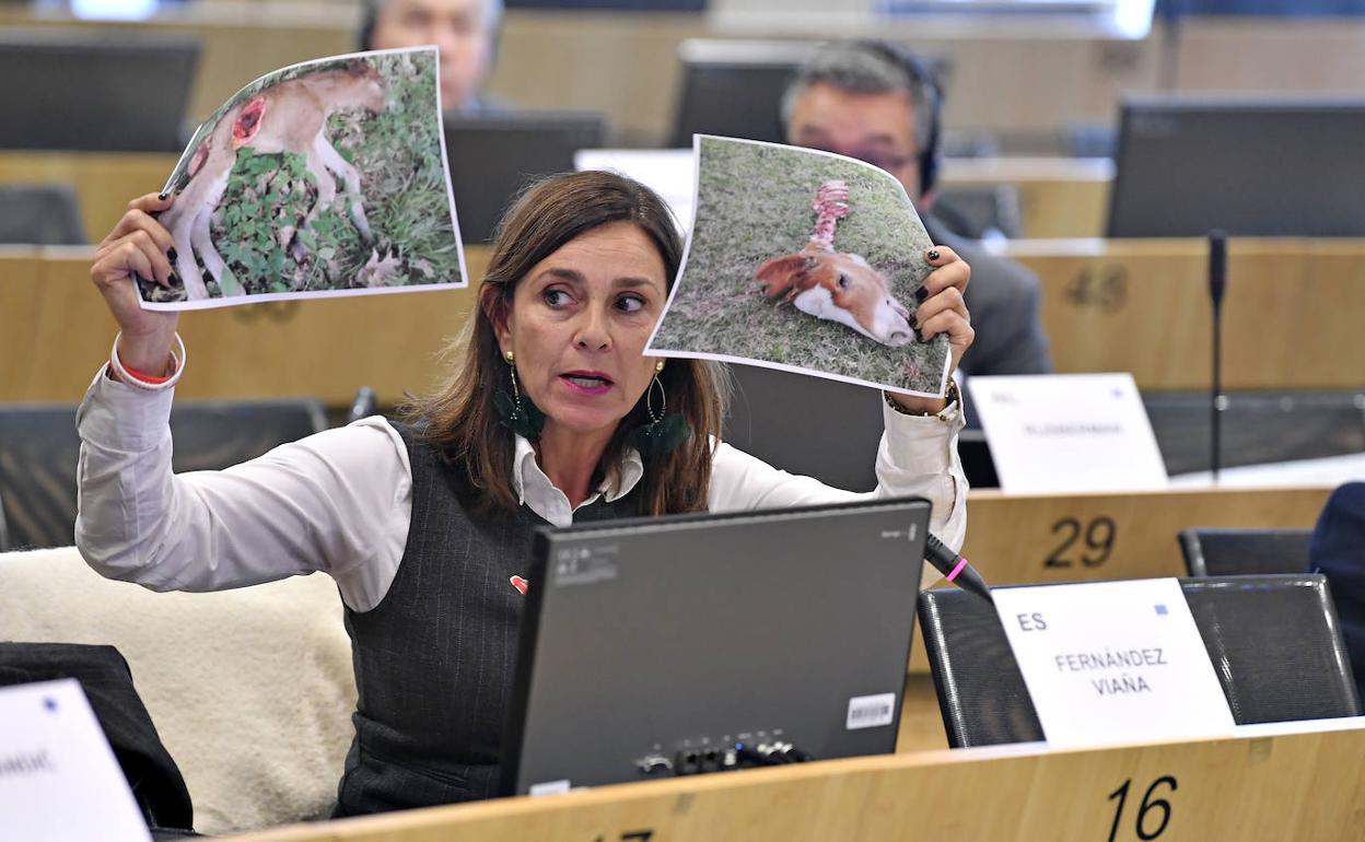 Comparecencia de la consejera Paula Fernández en Bruselas a finales de noviembre.